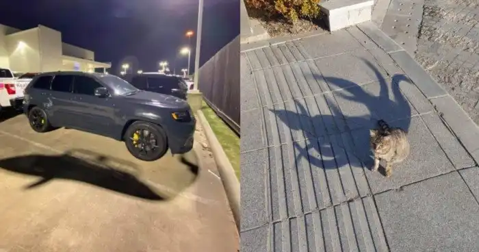 Даже не фотошоп: игра света и тени