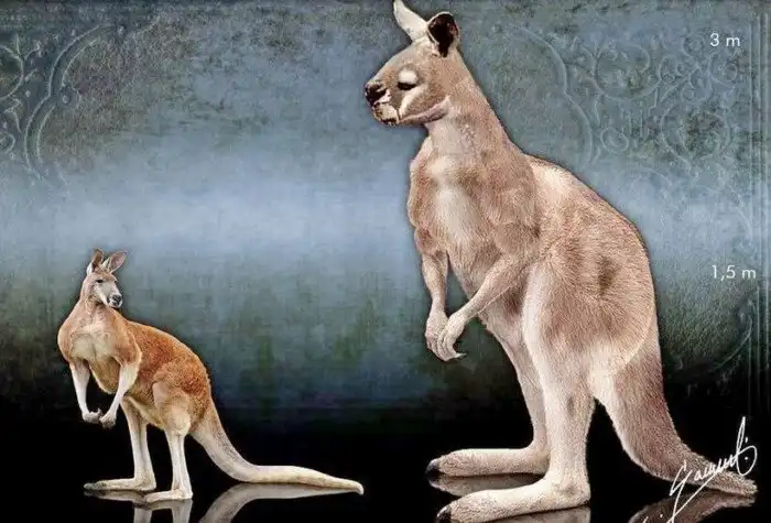 Прокоптодон: Кенгуру-великан с мордой медведя и «копытами». В прошлом Австралия была ещё страшнее