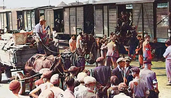 5 крупных народов СССР, депортированных Сталиным из родных краёв