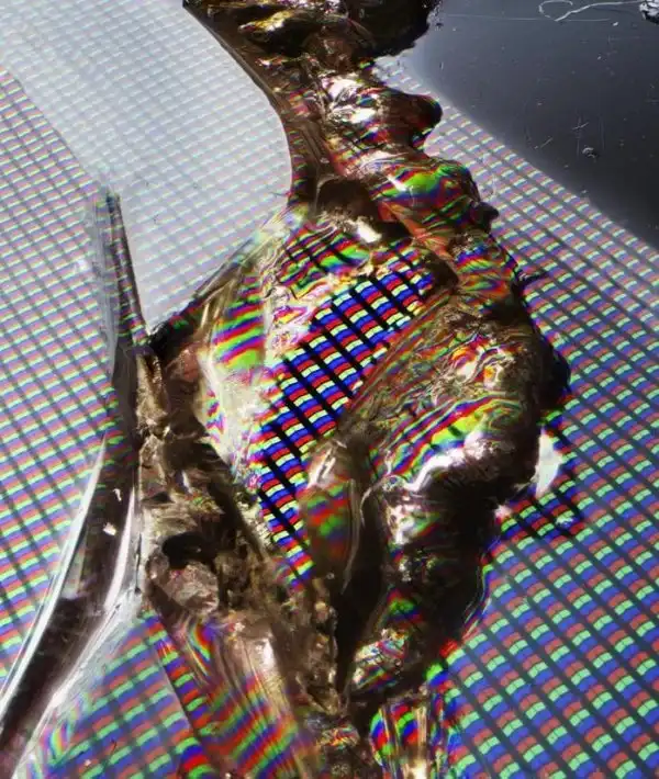 Мир через микроскоп: интересные макрофотографии