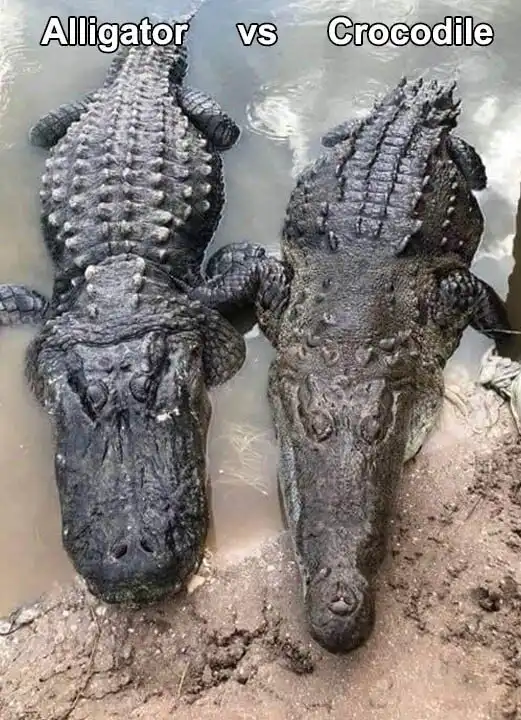 20+ фото, показывающих, как же удивительна мать-природа