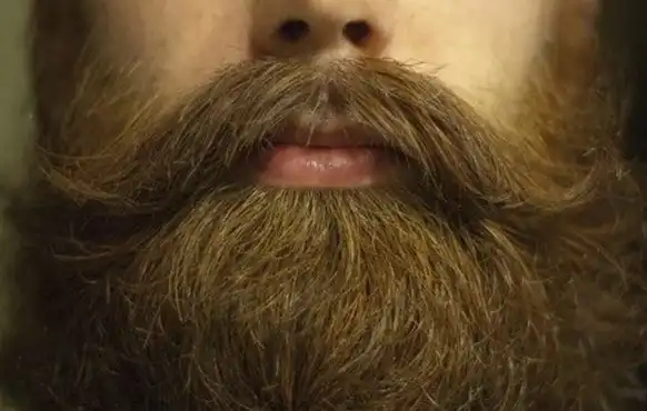 Мужчины с бородой - зачем?