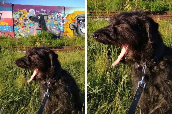 20+ фото, на которых люди попали в самое яблочко с ракурсом и настроением