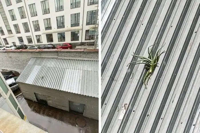 17 фото, на которых столько драмы, что даже поклонники рабыни Изауры прольют скупую слезу