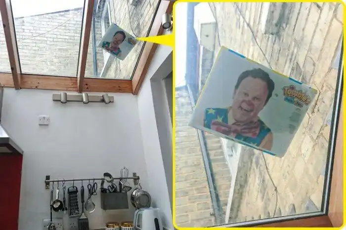 16 человек, которые вступили в неравную схватку с бытовухой и проиграли