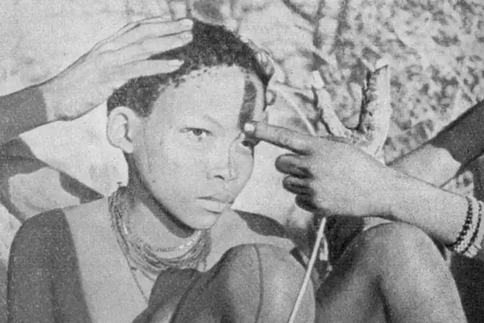 Почему Бергдамы боятся воды?