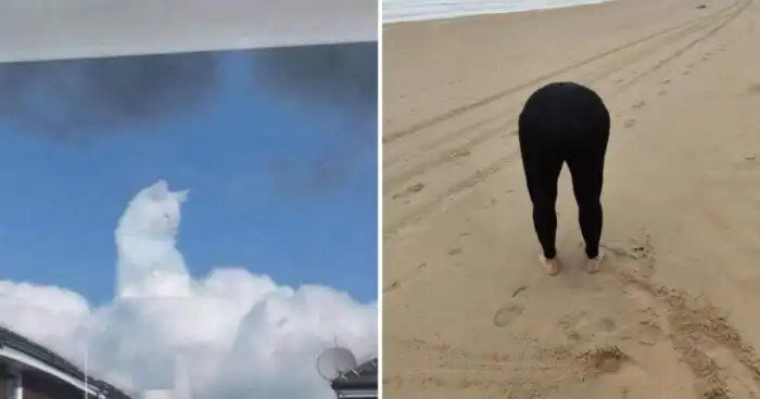 21 снимок, который заставят вас проверить своё зрение