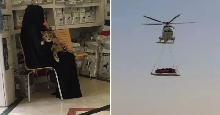 15 поразительных вещей, которые возможны только в Дубае