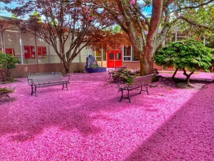 18 человек, которые по утрам бегут на работу, потому что вы только посмотрите, где они трудятся