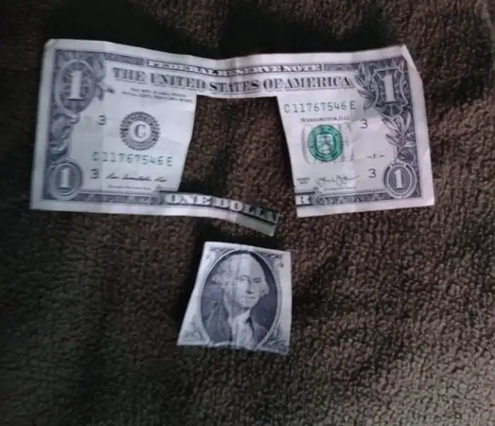 19 маленьких шкодников, за которыми нужен глаз да глаз круглые сутки