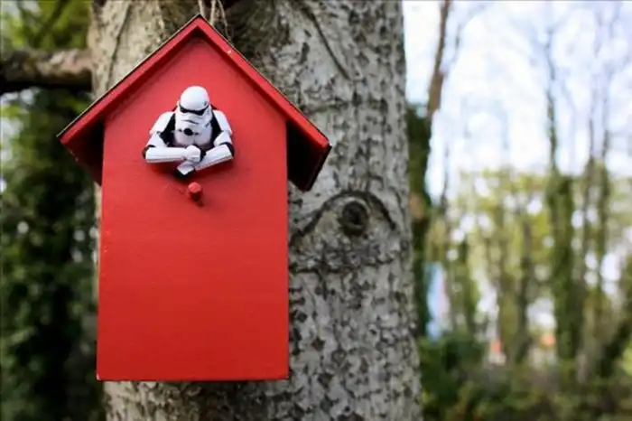 Как сделать идеальный скворечник? Оцениваем постройки по шкале от 1 до 5 звёзд