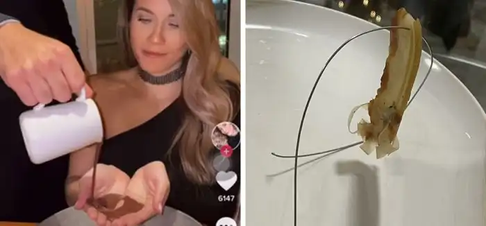 А что, на тарелке нельзя было?