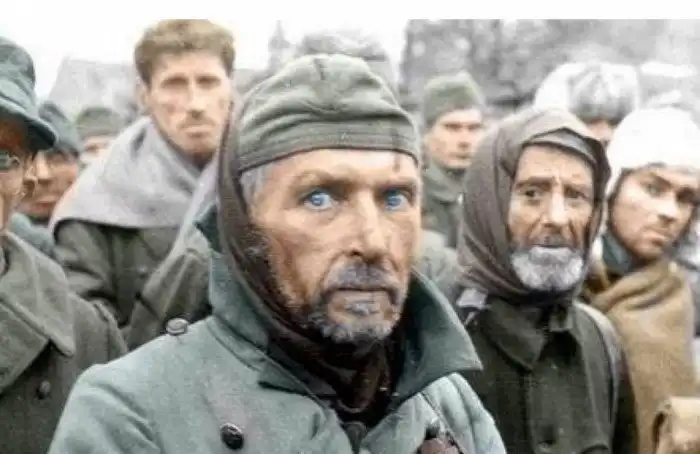 Что рассказали немецкие военнопленные, когда вернулись из СССР
