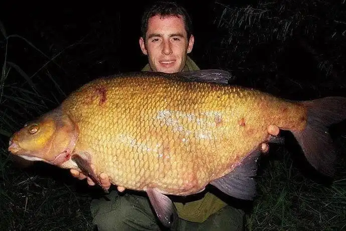 Лещ: Почему лещ = смачная оплеуха? Всё дело в поведении этой рыбы