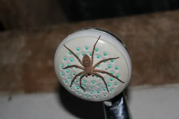 17 жутковатых кадров, которые моментально поднимут ваш пульс