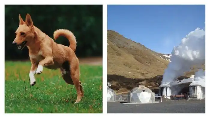 Сегодня я узнал 30 потрясающих историй из прошлого человечества