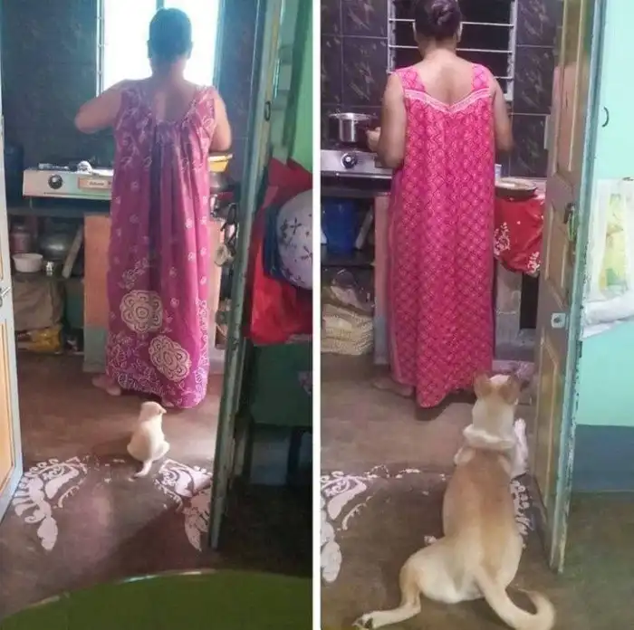 18 фото, которые красноречиво продемонстрируют неумолимость времени