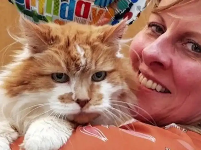 30 лет - не предел долголетия! 10 любопытных фактов про кошек