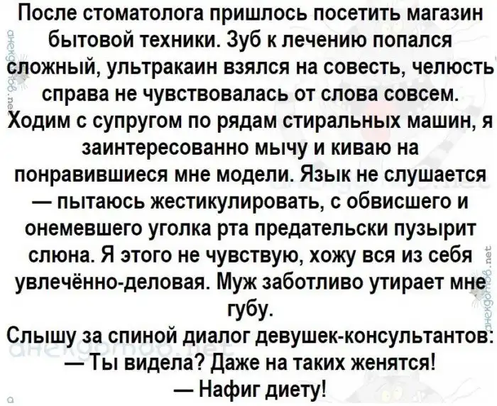 Анекдот в люльке. Анекдот про поросенка в мотоцикле. Анекдот про свинью. Анекдот про свинью в люльке. Анекдот про поросенка и люльку мотоцикла.