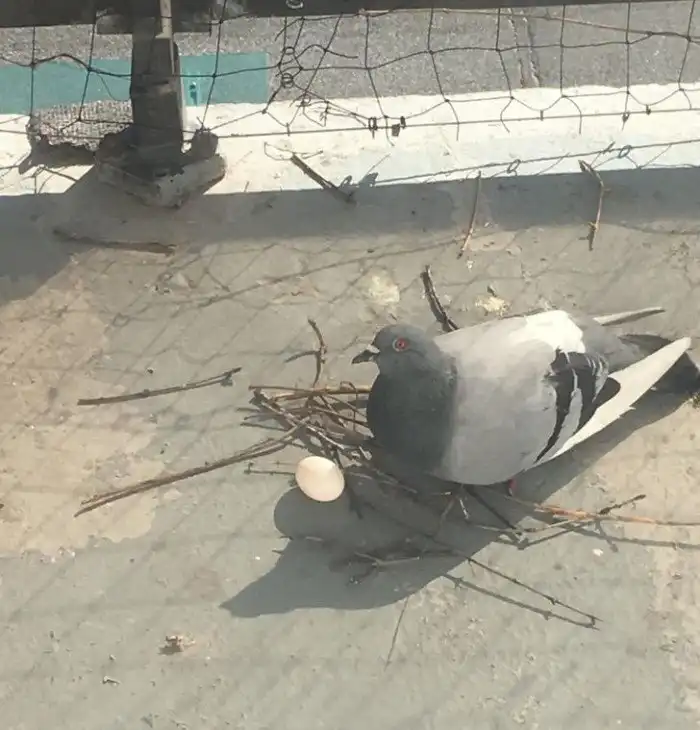 18 фото, на которых столько драмы, что их вот-вот выдвинут на «Оскар»