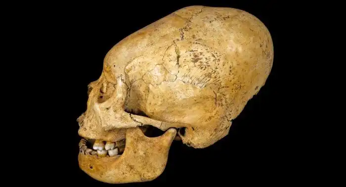 Что нашли учёные во льдах Антарктиды за 50 лет её изучения?