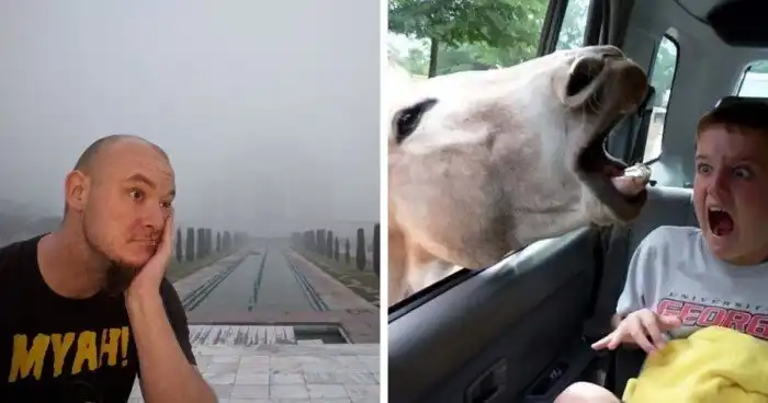 15 случаев, когда в отпуске что-то пошло не по плану