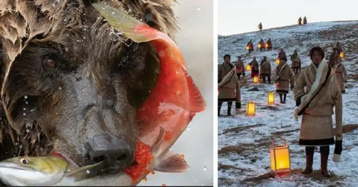 Забавные и познавательные фото, на которых отдыхает глаз