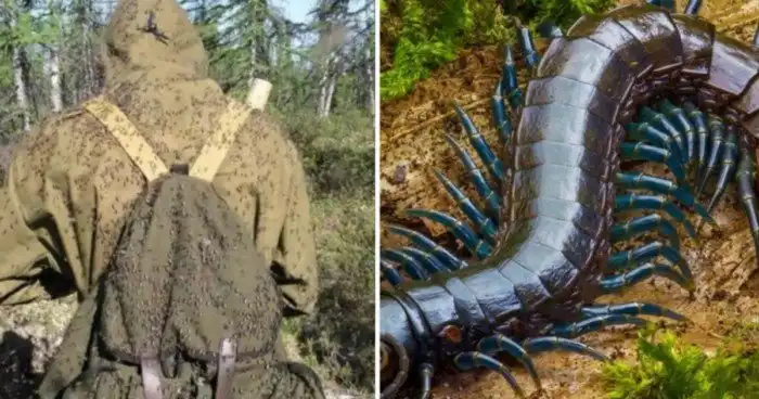 15 угрожающих фотографий, которые заставят вас вздрогнуть