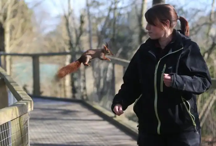 Памятка для отдыха на природе: Почему крайне нежелательно кормить всех диких зверей. Особенно с рук. Особенно белок