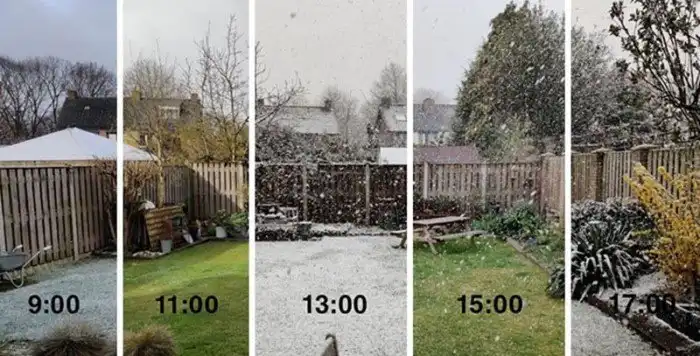 Интересные изображения для сравнения, которые откроют вам новую перспективу