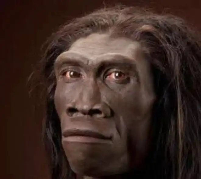 Интересный мысленный эксперимент: что будет, если выстроить всех своих предков в одну линию — от родителей до периода существования тиктаалика?