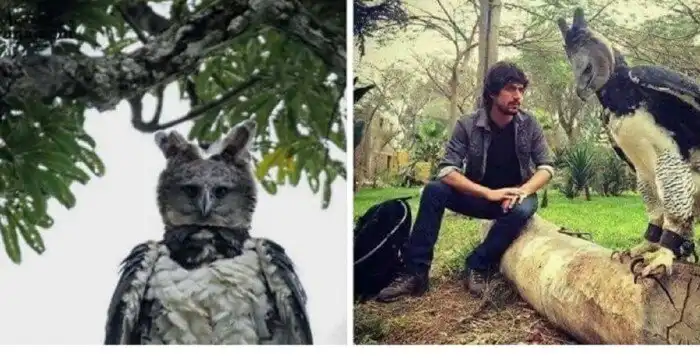 От этих фотографий мурашки по коже