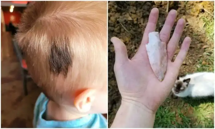 20+ любопытных находок, которые не каждый день увидишь