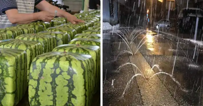 30+ снимков, доказывающих, что Япония - это иной мир