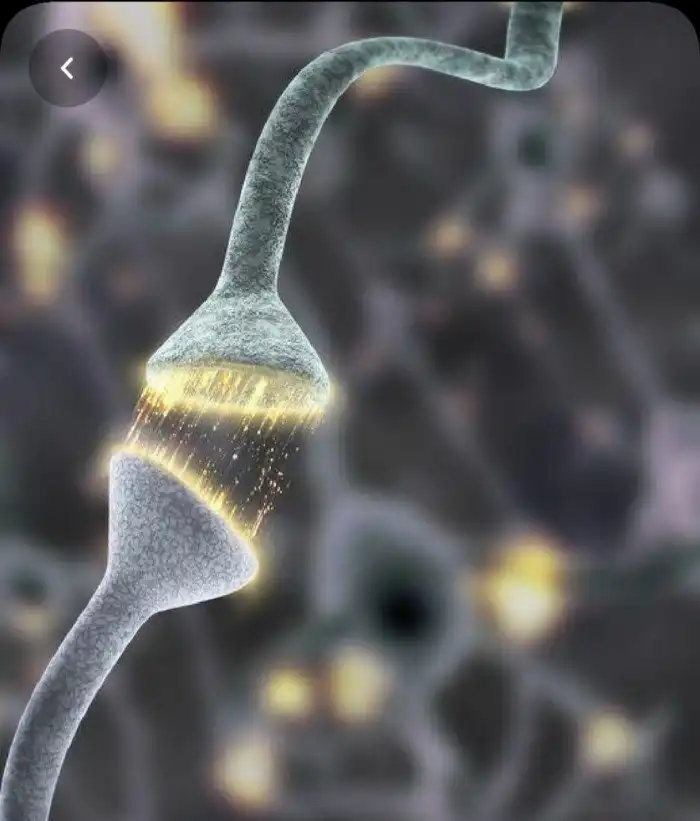 5 интересных фотографий из микромира нашего тела