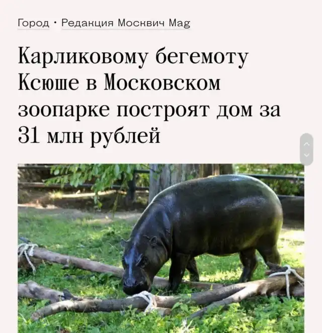 Странные и необычные заголовки и описания из российских СМИ