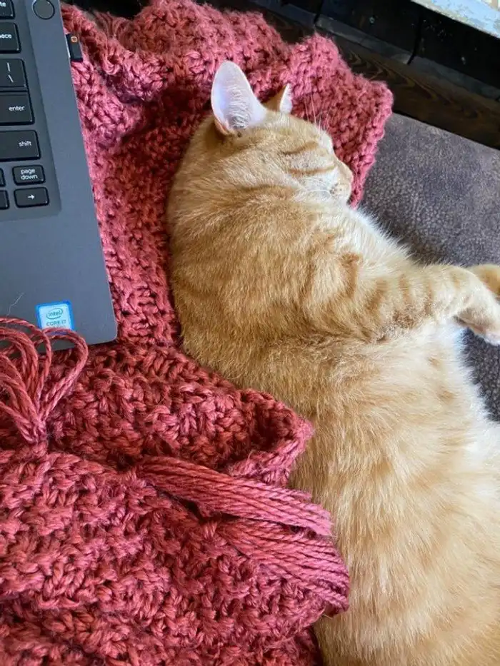 19 человек рассказали о неожиданных плюсах своей работы, из-за которых и понедельники бывают в радость