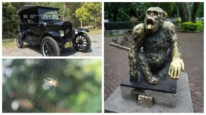 30 интересных фактов для тех, кто не утратил любознательности