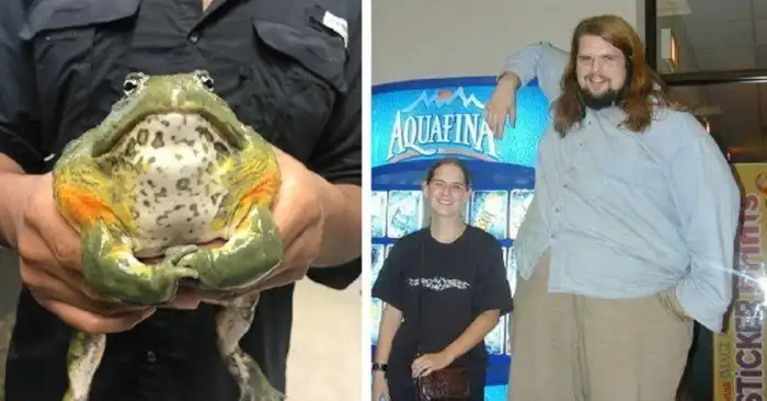 Только посмотрите на этих гигантов!