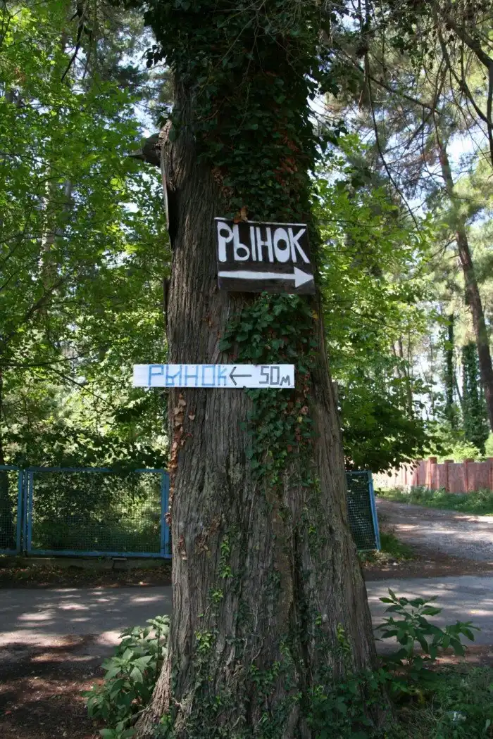 "Обокрали и приставали": как русские туристы отдыхают в Абхазии