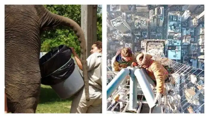 25 человек, которым действительно не повезло с работой