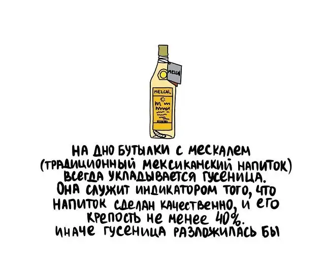 Интересные факты на все случаи жизни