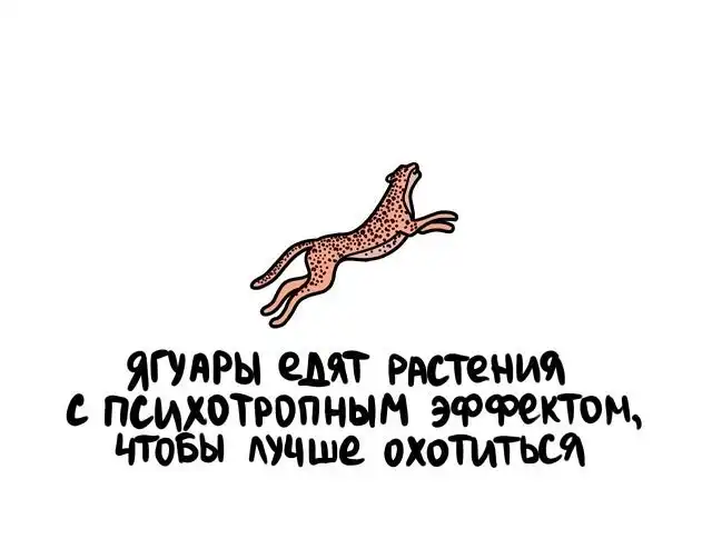 Интересные факты на все случаи жизни