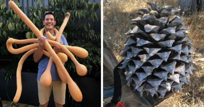 Эти предметы оказались слишком большими для этого мира