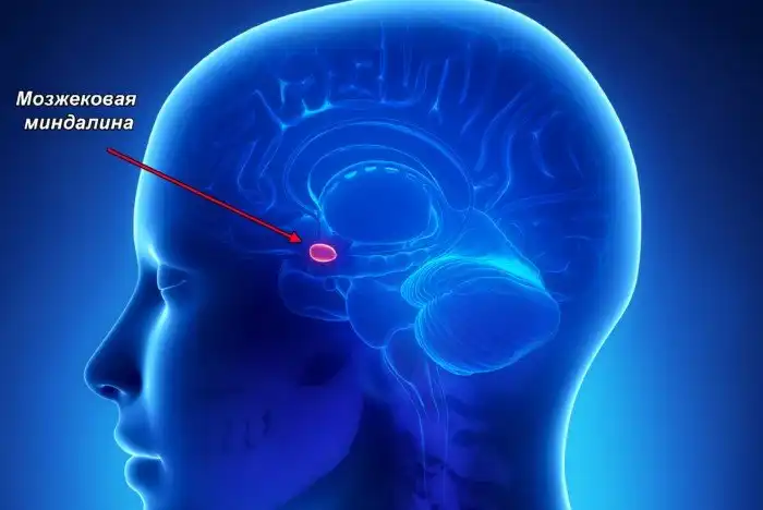 Почему нам не нравится скрежет ногтей и других предметов по доске?