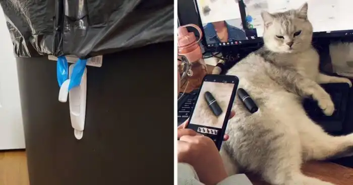 20 простых советов, которые помогут в быту