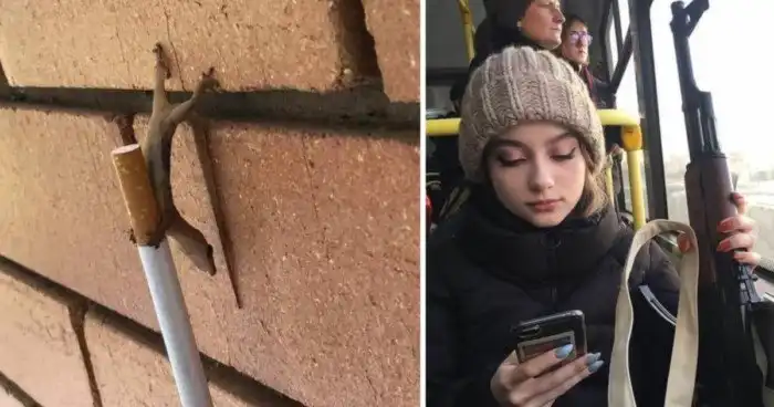 15 головоломных снимков, над которыми придётся немного поразмыслить