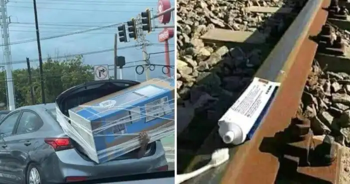 Тотальненько: жадность, перешедшая на новый уровень