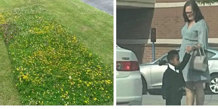 30 коротких историй, от которых ваше сердце растает, как мороженое в жаркий день