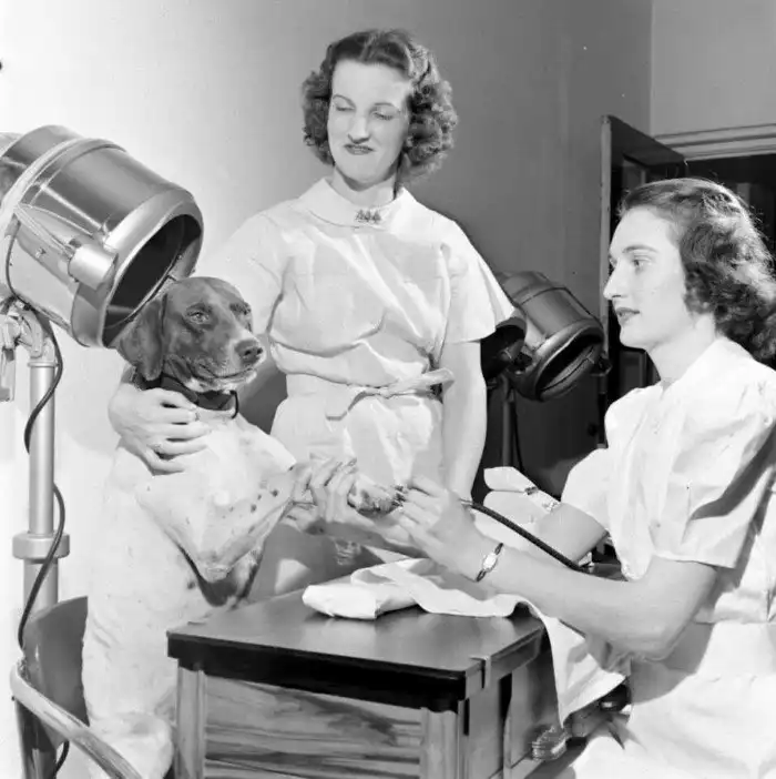 Ретро фотографии